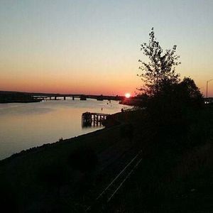 Meet your Posher, Estrella